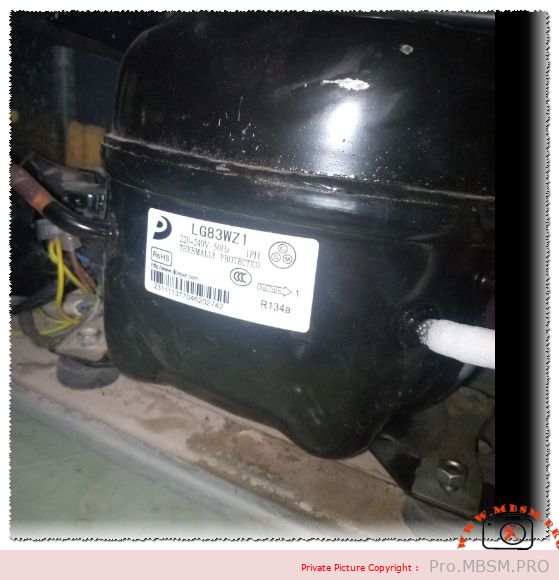 Donper LG83WZ1 Refrigeration Compressor Technical Specifications and R134a Replacement Guide for Unionaire refrigerator mbsmpro
