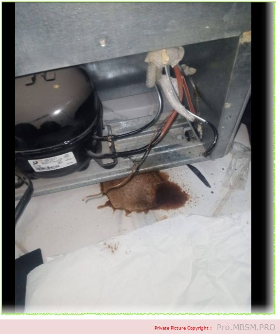 The refrigerator has a problem,  it works for a minute and then shuts off mbsmpro